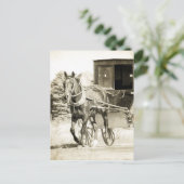 Carte Postale Cheval et Buggy Sepia (Debout devant)