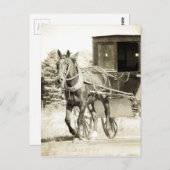 Carte Postale Cheval et Buggy Sepia (Devant / Derrière)