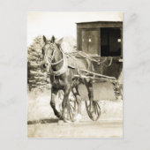 Carte Postale Cheval et Buggy Sepia (Devant)