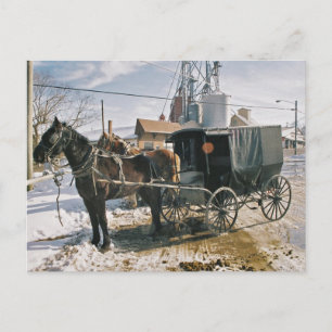 Carte Postale Cheval et Buggy stationnés