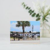 Carte Postale Cheval et calèche St. Augustine, Floride. (Debout devant)