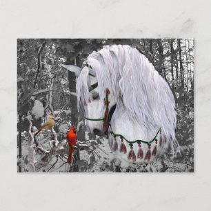 Carte postale Cheval et Cardinaux de Noël