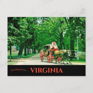 Carte Postale Cheval et Carrosse Colonial Williamsburg Virginie