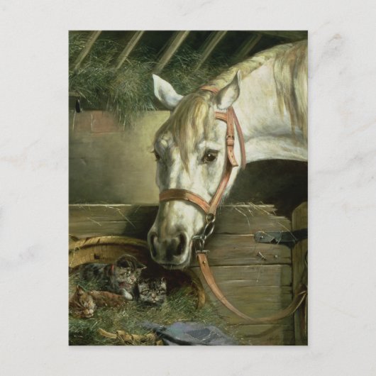 Carte Postale Cheval et chatons, 1890 (Devant)