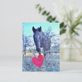 Carte Postale Cheval et Cœur (Debout devant)