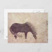 Carte Postale Cheval et groom en hiver (Devant / Derrière)