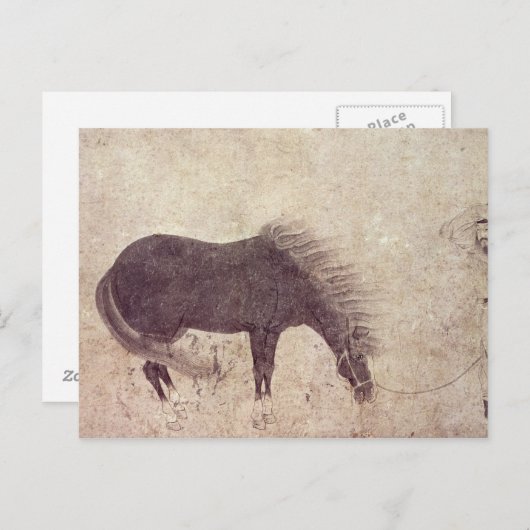 Carte Postale Cheval et groom en hiver (Devant / Derrière)