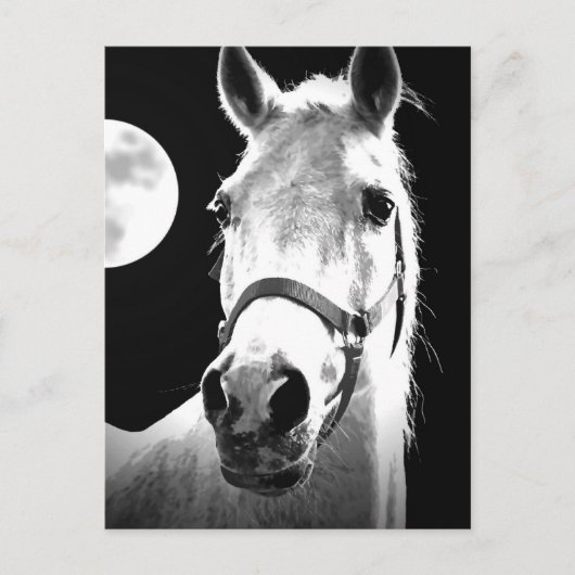 Carte Postale Cheval et Lune (Devant)