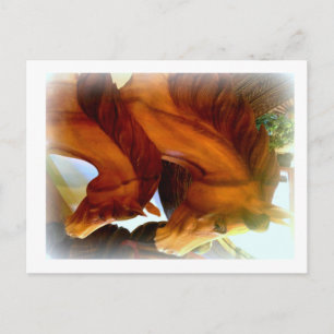 carte postale cheval et poney