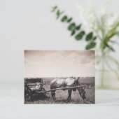 Carte postale "Cheval et transport" (Debout devant)