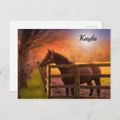 Carte Postale Cheval fille (Devant / Derrière)