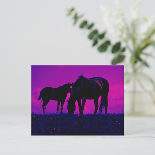 Carte Postale Cheval & Filly (Debout devant)