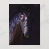 Carte Postale Cheval foncé (Devant)