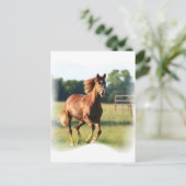 Carte postale Cheval Galloping de châtaignes (Debout devant)