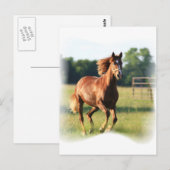 Carte postale Cheval Galloping de châtaignes (Devant / Derrière)