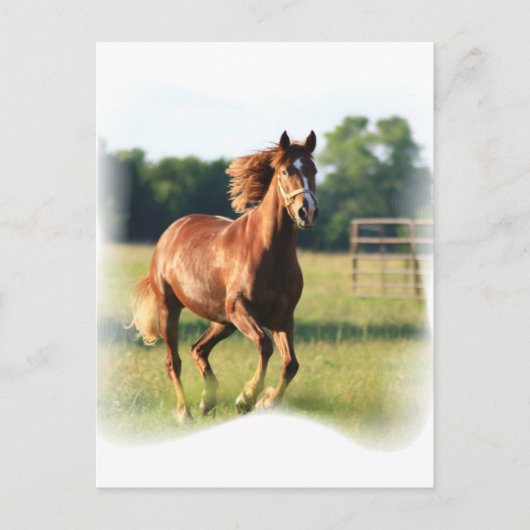 Carte postale Cheval Galloping de châtaignes (Devant)