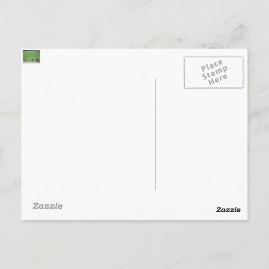 Carte Postale cheval galore (Dos)