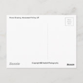 Carte Postale Cheval Grading, Vallée du Monument, UT (Dos)