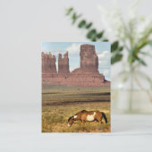 Carte Postale Cheval Grading, Vallée du Monument, UT (Debout devant)