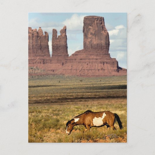 Carte Postale Cheval Grading, Vallée du Monument, UT (Devant)