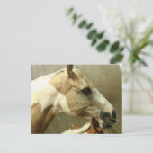 Carte postale Cheval Gray Edging (Debout devant)