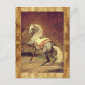 CARTE POSTALE CHEVAL GRAY REMPLI (Devant)