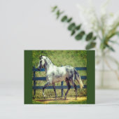 Carte postale Cheval gris (Debout devant)