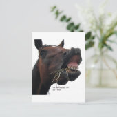 Carte Postale Cheval : Hay ! (Debout devant)