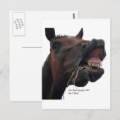 Carte Postale Cheval : Hay ! (Devant / Derrière)