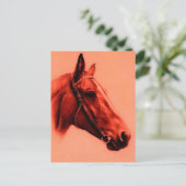 Carte Postale Cheval Head (Debout devant)