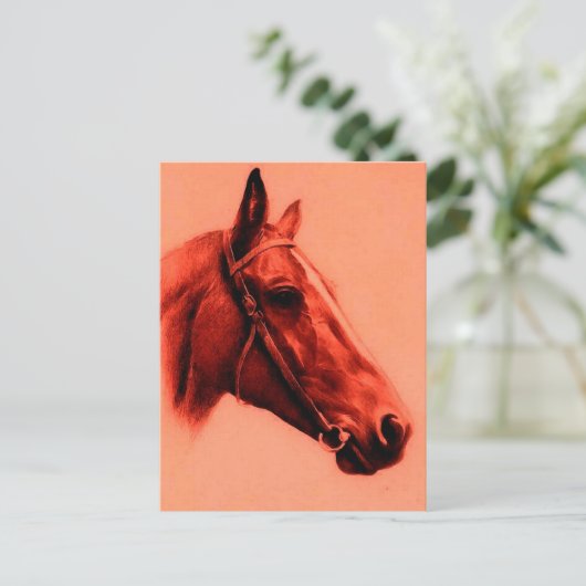 Carte Postale Cheval Head (Debout devant)
