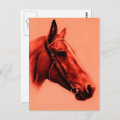 Carte Postale Cheval Head (Devant / Derrière)