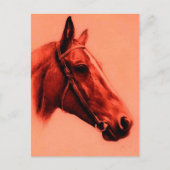Carte Postale Cheval Head (Devant)