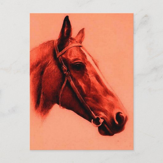 Carte Postale Cheval Head (Devant)