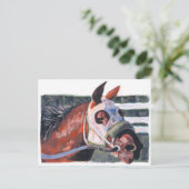 Carte Postale Cheval Head (Debout devant)