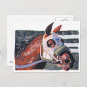 Carte Postale Cheval Head (Devant / Derrière)