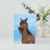 Carte Postale Cheval heureux (Debout devant)