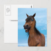 Carte Postale Cheval heureux (Devant / Derrière)