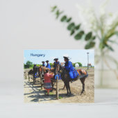Carte Postale cheval hongrois Hongrie (Debout devant)