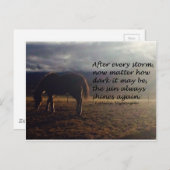 Carte Postale Cheval Hope (Devant / Derrière)