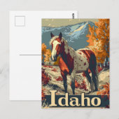 Carte Postale cheval Idaho Appaloosa (Devant / Derrière)