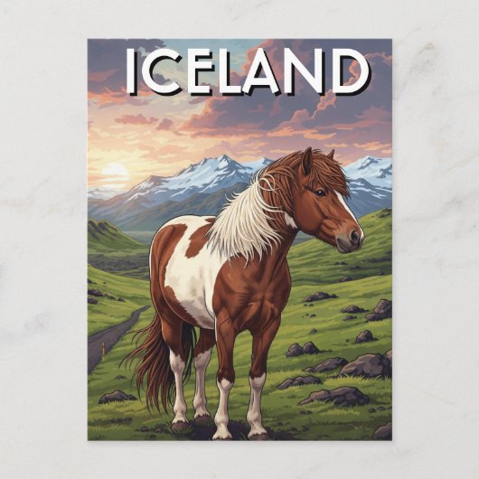 Carte Postale Cheval islandais en Islande Travel (Devant)