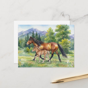 Carte Postale Cheval islandais Sola et poulain dans une prairie