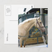 Carte Postale Cheval jaune (Devant / Derrière)