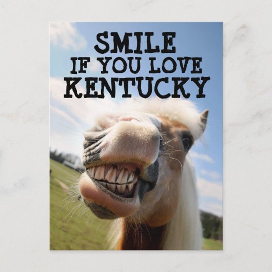 Carte postale CHEVAL KENTUCKY (Devant)