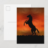 Carte Postale Cheval Libre Au Coucher De Soleil (Devant / Derrière)