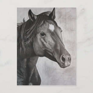 Carte Postale Cheval Main Drake Art