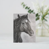 Carte Postale Cheval Main Drake Art (Debout devant)