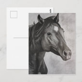 Carte Postale Cheval Main Drake Art (Devant / Derrière)