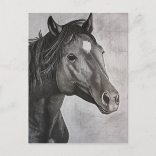 Carte Postale Cheval Main Drake Art (Devant)